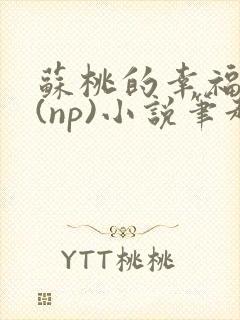 苏桃的幸福生活(np)小说笔趣阁