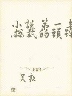 小说 第一名媛,总裁的头号新妻