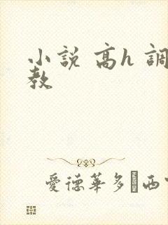小说 高h 调教