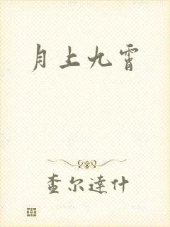 月上九霄封面