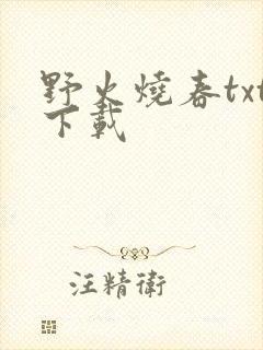 野火烧春txt下载