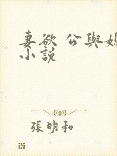 妻欲 公与媳 小说封面