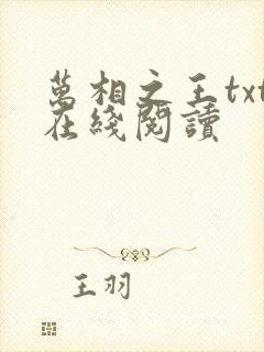 万相之王txt在线阅读