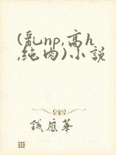 (乱np,高h,纯肉)小说