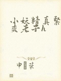 小妖精真紧h嘶爽老子h封面