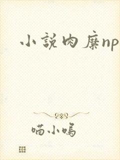 小说肉糜np