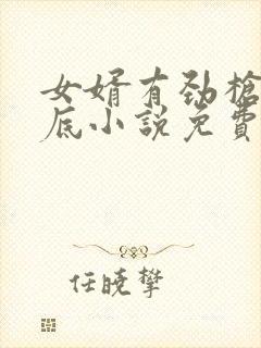 女婿有劲枪枪到底小说免费阅读封面