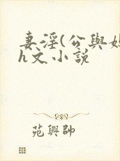 妻淫(公与媳7h文小说封面