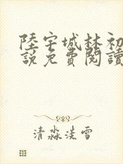 陆宇城林初韵小说免费阅读最新章节封面