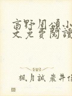 商野周颂小说全文免费阅读封面