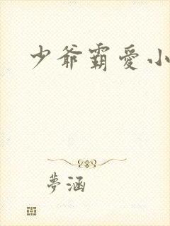 少爷霸爱小丫头