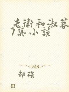 老卫和淑蓉1一7集小说