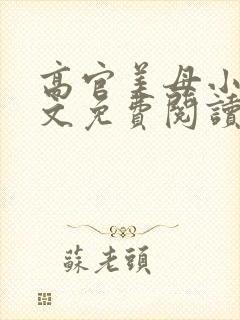 高官美母小说全文免费阅读封面