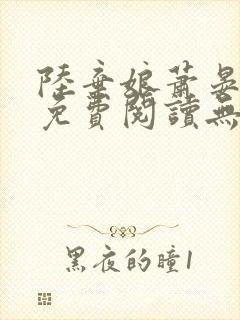 陆弃娘萧晏全文免费阅读无弹窗封面