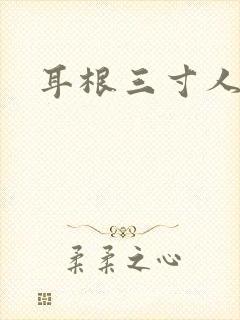 耳根三寸人间