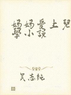妈妈爱上儿子同学小说封面