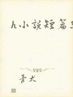 h小说短篇集合