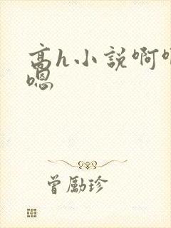 高h小说啊啊啊嗯封面