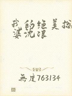 我的绝美总裁老婆沈浪封面