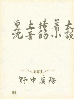 皇上撞着太子妃沈音的小说叫什么