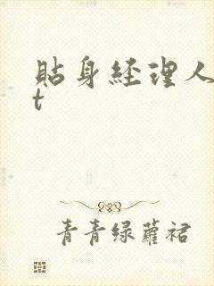 贴身经理人txt