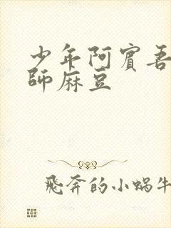 少年阿宾吾爱吾师麻豆