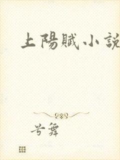 上阳赋小说
