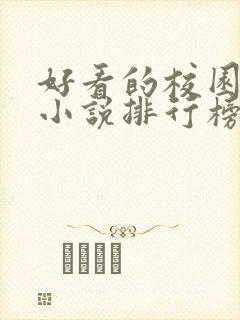 好看的校园言情小说排行榜前十名封面