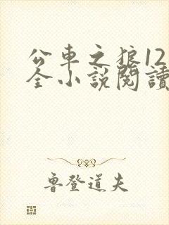 公车之狼12集全小说阅读