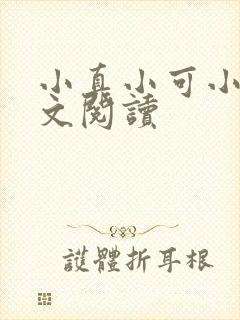 小真小可小说全文阅读