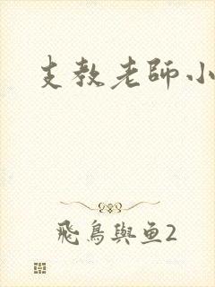 支教老师小说