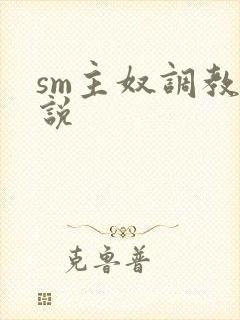 sm主奴调教小说封面