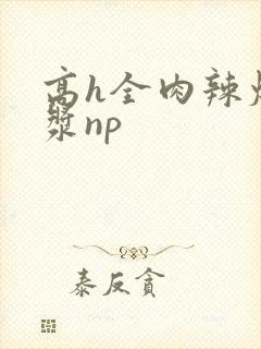 高h全肉辣爆灌浆np