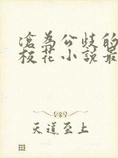 沧为公歧的清纯校花小说最新章节更