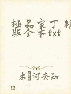 极品家丁 精校版全本txt