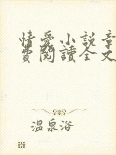 情爱小说章节免费阅读全文