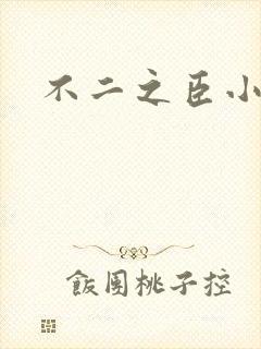 不二之臣小说封面