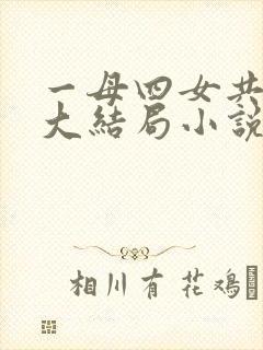 一母四女共一婿大结局小说