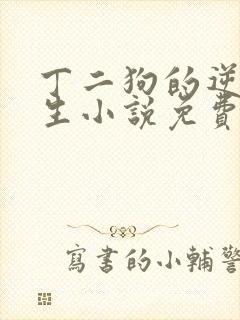 丁二狗的逆袭人生小说免费阅读