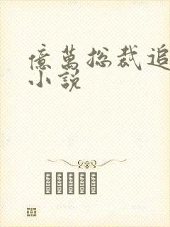 亿万总裁追妻忙小说封面
