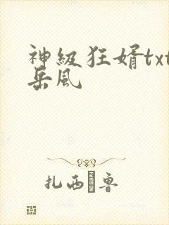 神级狂婿txt岳风