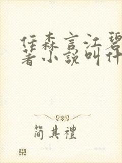 任森言江碧茵原著小说叫什么封面