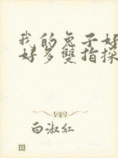 我的兔子好软水好多双指探洞小说封面