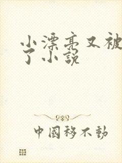 小漂亮又被欺负了小说封面