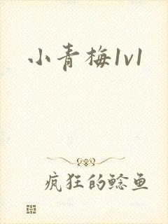 小青梅1v1封面