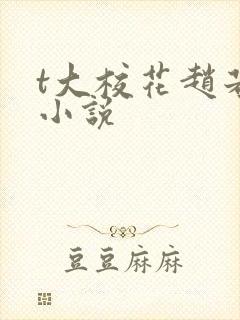 t大校花赵若芸小说