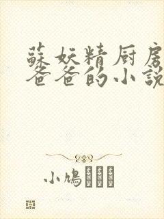 苏妖精厨房爹爹爸爸的小说