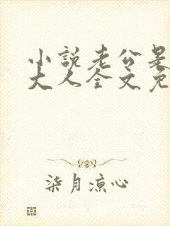 小说老公是腹黑大人全文免费阅读