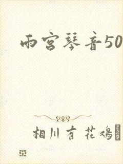雨宫琴音500
