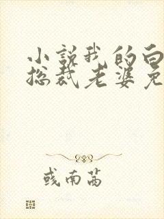 小说我的白富美总裁老婆免费阅读封面